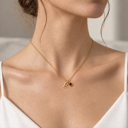 LAYER CON DIJES DE INICIAL Y MES