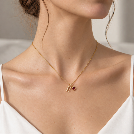 LAYER CON DIJES DE INICIAL Y MES