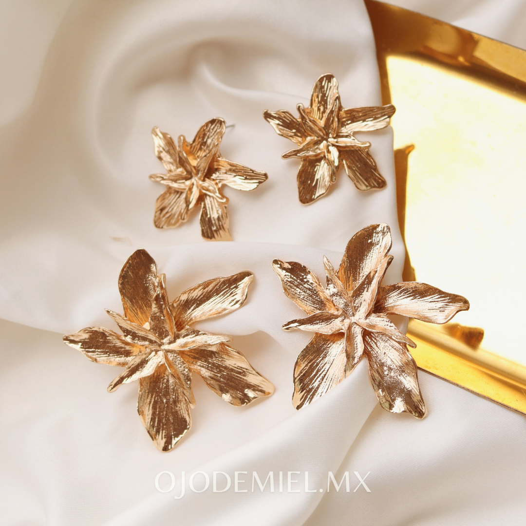 ARETES BORA DORADOS