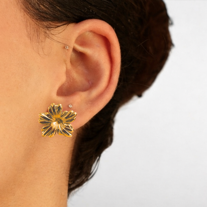 ARETES ORQUÍDEA