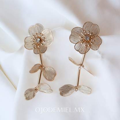 ARETES FLORENCE