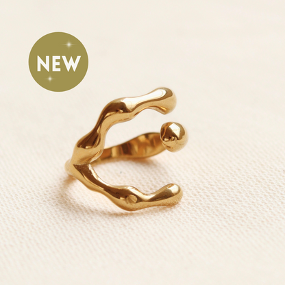 ANILLO MELTED