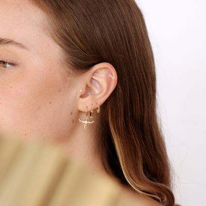 PIERCING TORO