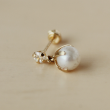 Cargar imagen en el visor de la galería, BROQUEL SHINE PEARL
