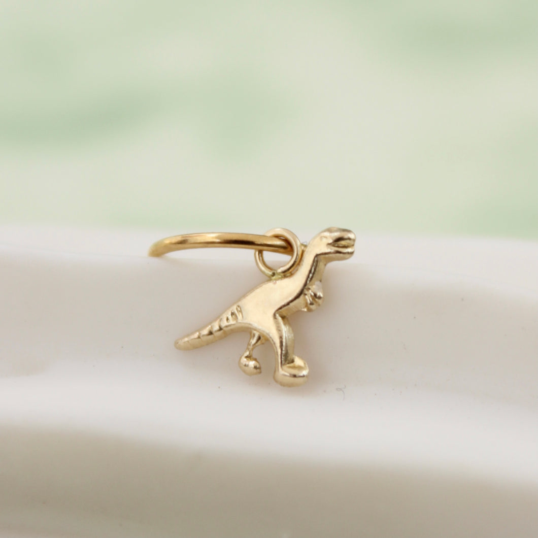 PIERCING DINOSAURIO