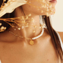 Cargar imagen en el visor de la galería, LAYER MULTIUSOS PEARLS
